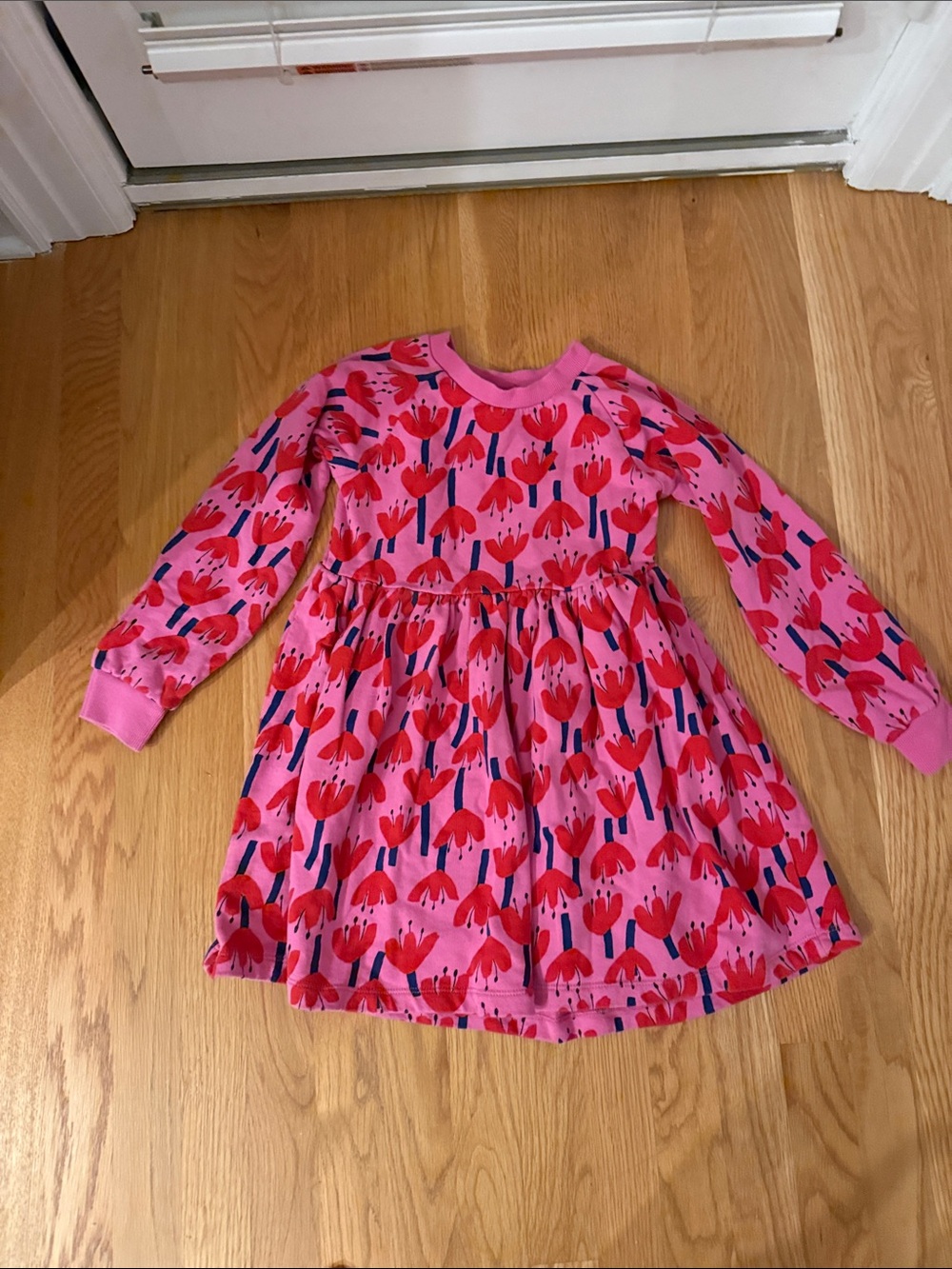 Hanna Andersson Pink Floral Long Sleeve Knit Dress with Red & Blue Blooms